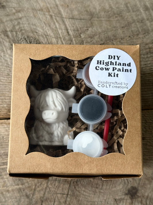 Mini DIY Highland Cow Magnet Paint Kit