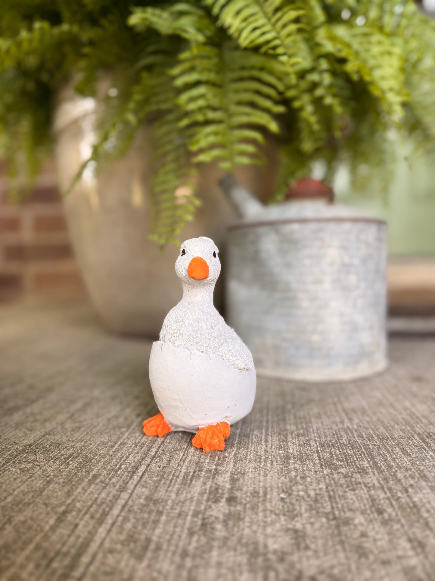 The Porch Goose Hatchling