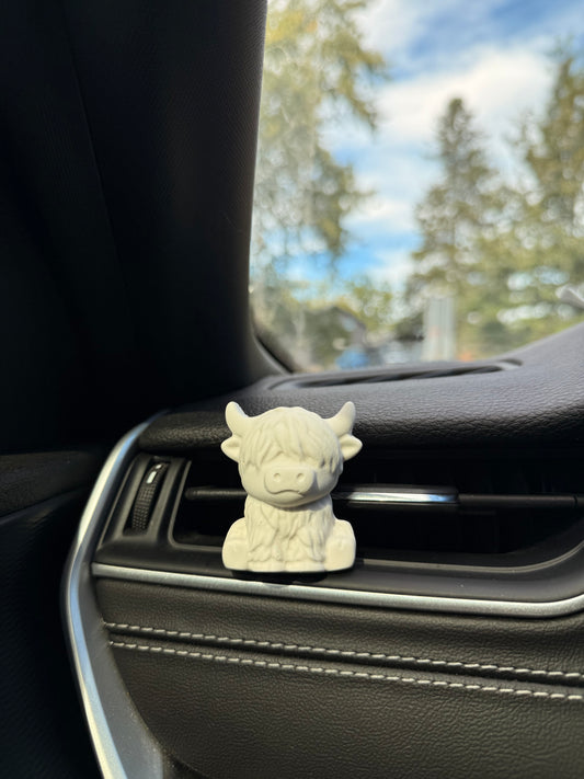 Decorative Car Vent Clips