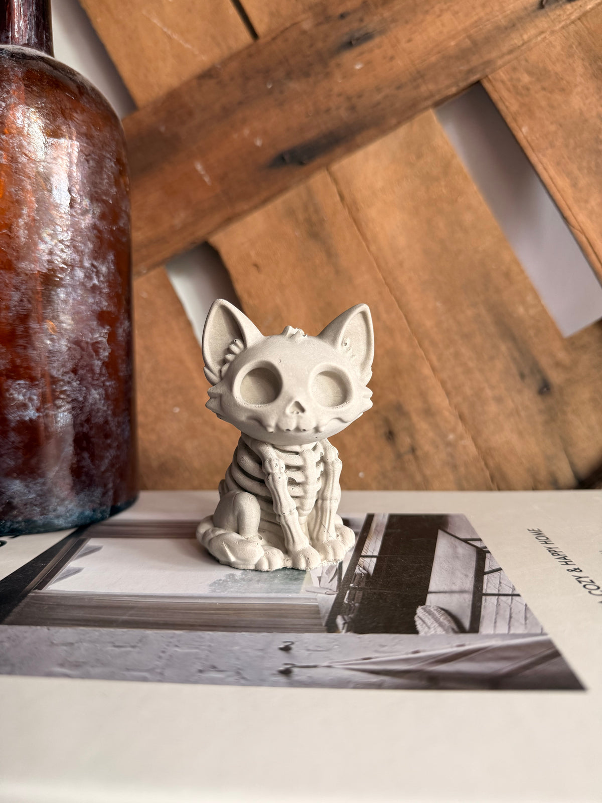 Spooks & Bones