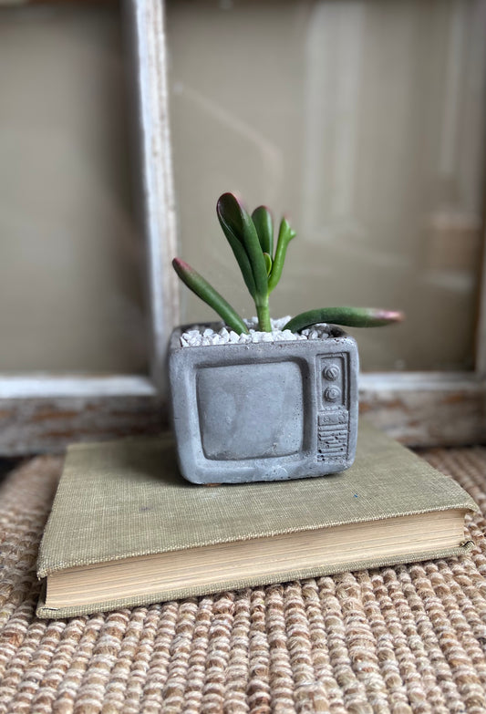 Retro T.V  Planter