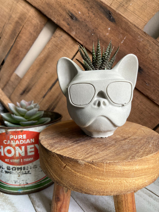 The Doggo Planter
